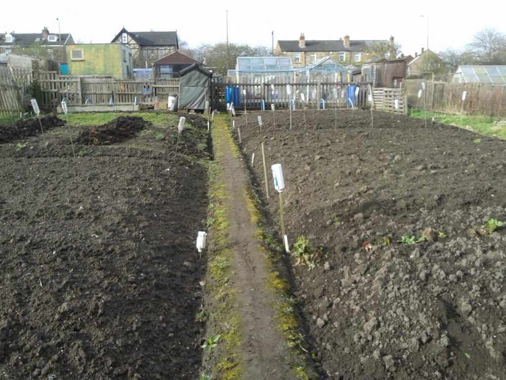 Allotment March 2020