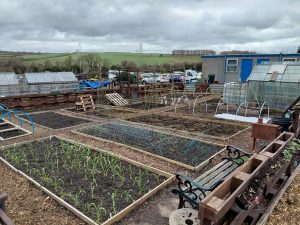plot 1