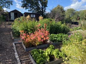 plot 10