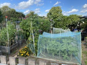 plot 15