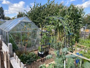 plot 17