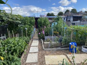 plot 18