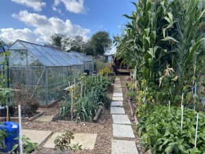 plot 19