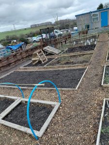 plot 2