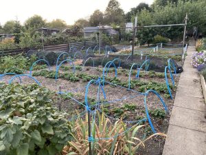 plot 23