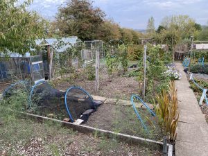 plot 25