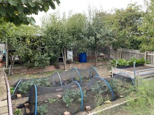 plot 26