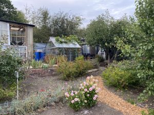 plot 28