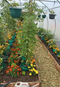 plot 3