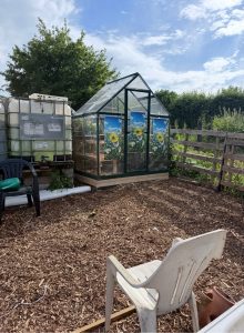 plot 5
