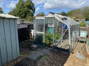 plot 8