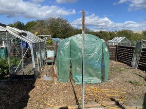 plot 9