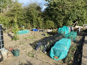 plot 37